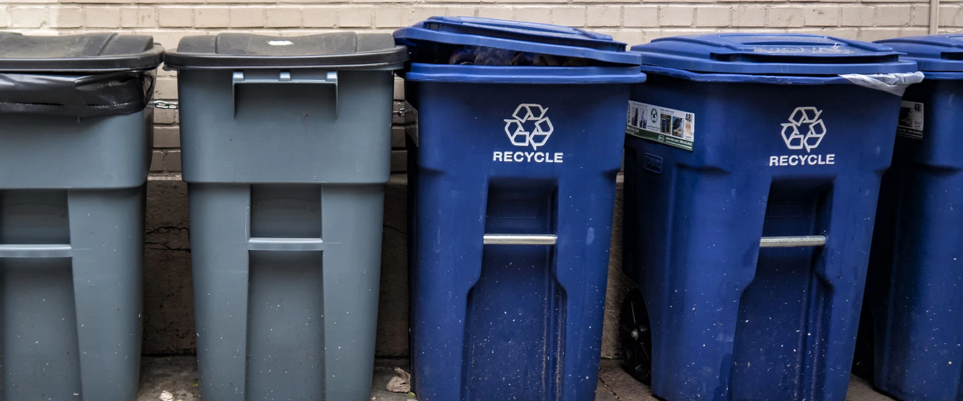 Abfallentsorgung, Recycling, Containerdienst - BDMi GmbH & Co. KG